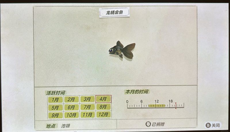 龍睛魚有哪些品種，龍睛魚有哪些品種，龍睛魚有哪些品種龍睛魚品種
