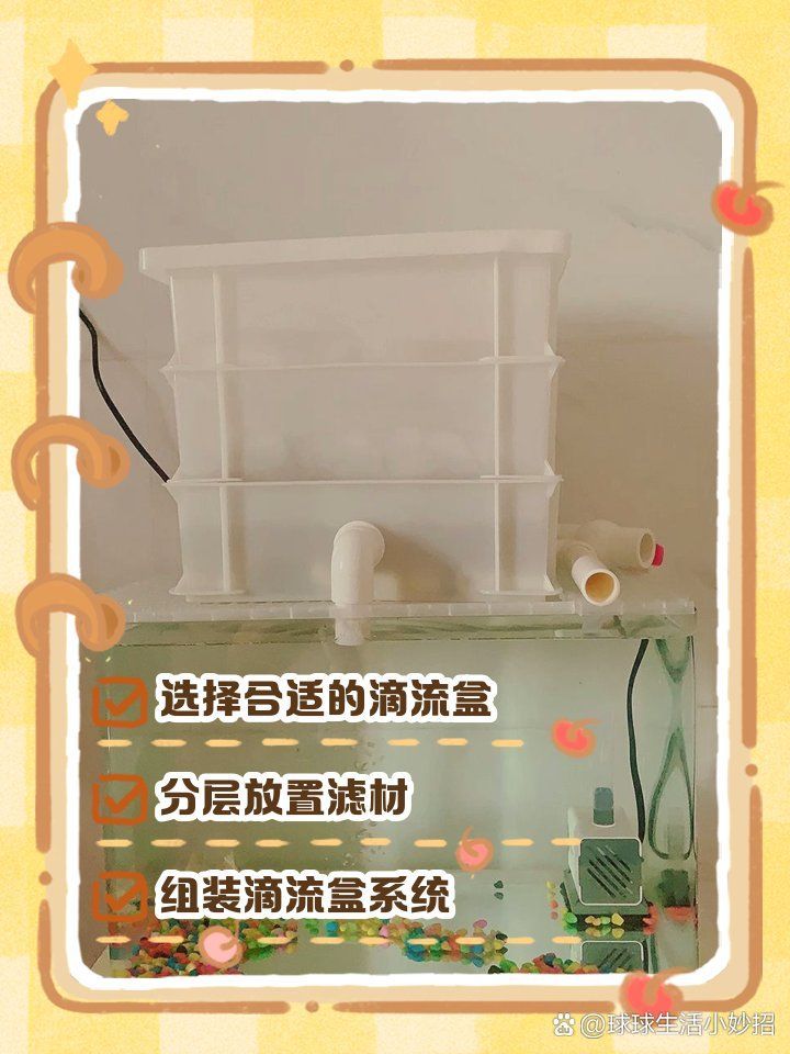 龍魚缸的過濾系統如何安裝？，龍魚缸過濾系統如何安裝