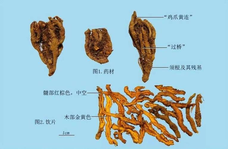 有哪些中草藥可以治療爛尾病，中草藥治療“爛瘡”