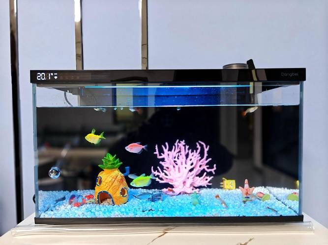 有哪些品牌的魚缸值得推薦？，哪些品牌的魚缸值得推薦