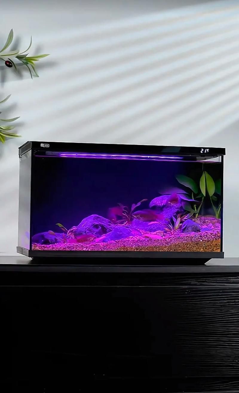 有哪些品牌的魚缸值得推薦？，哪些品牌的魚缸值得推薦