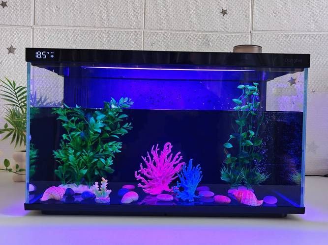有哪些品牌的魚缸值得推薦？，哪些品牌的魚缸值得推薦