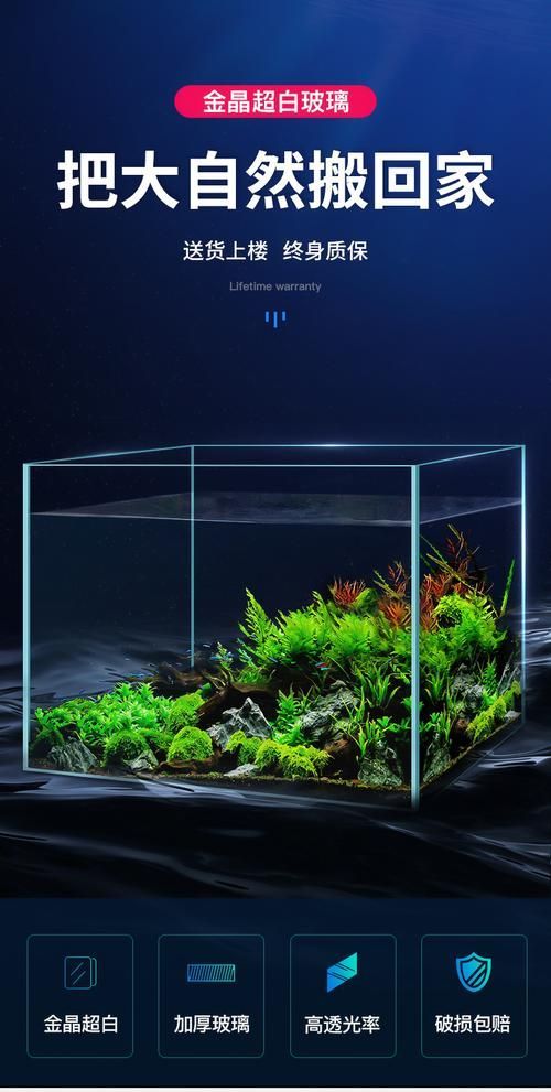 有哪些品牌的魚缸值得推薦？，哪些品牌的魚缸值得推薦
