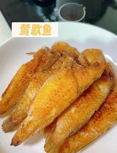 如何制作香煎海龍魚？，北京香煎海龍魚制作詳解