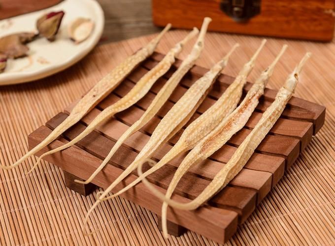 南山龍魚的藥用價(jià)值，關(guān)于南山龍魚的一些認(rèn)識(shí)
