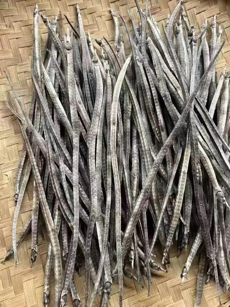 南山龍魚的藥用價值，關于南山龍魚的一些認識