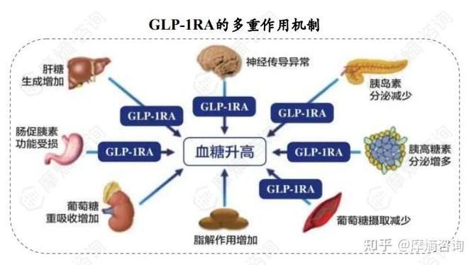有哪些新型降糖藥物值得關注，新型糖尿病降糖藥物詳解