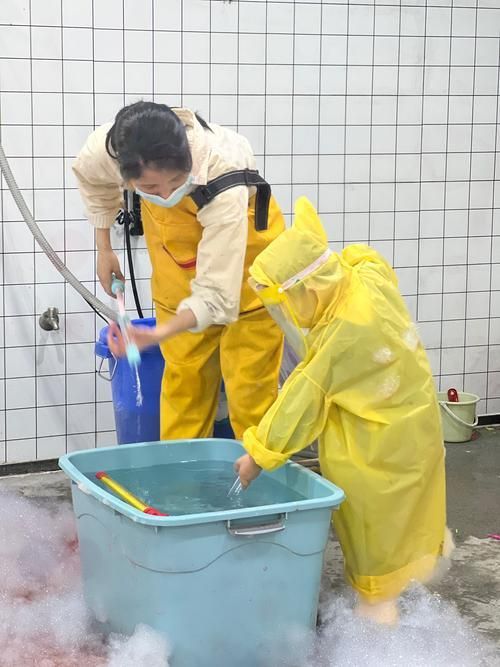 如何預防魚傷口感染