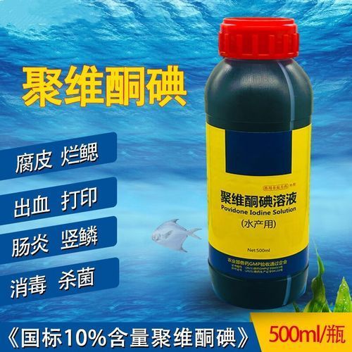 如何預防魚傷口感染