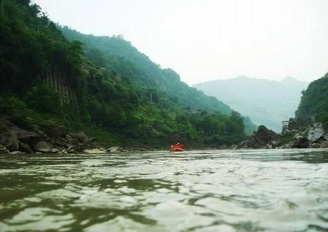 迭部龍魚(yú)的市場(chǎng)需求，甘肅迭部龍魚(yú)市場(chǎng)需求“迭部龍魚(yú)”并非觀(guān)賞性龍魚(yú)