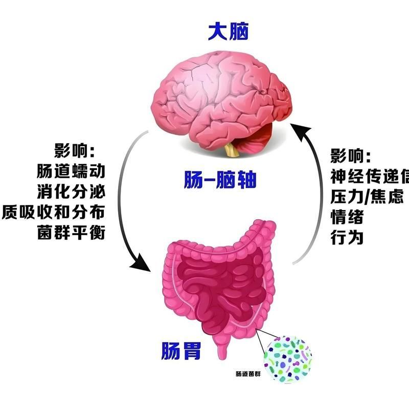 益生菌如何降低眼部感染率，arxiv論文助手arxiv論文助手arxiv論文助手