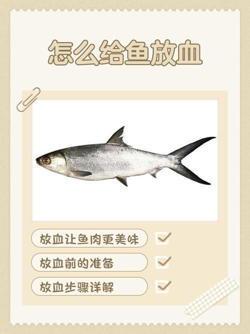 如何安全地食用紅龍魚，scleropagesformosus紅龍魚（arxiv論文助手”