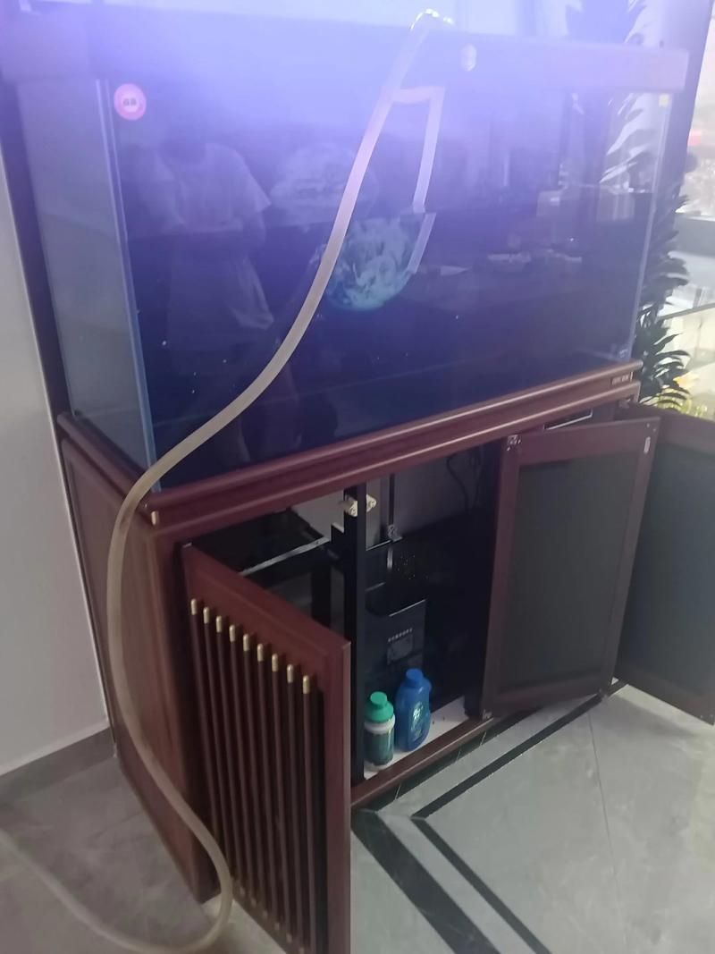 森森魚缸哪個系列最好，森森魚缸哪個系列最好森森超白玻璃系列推薦