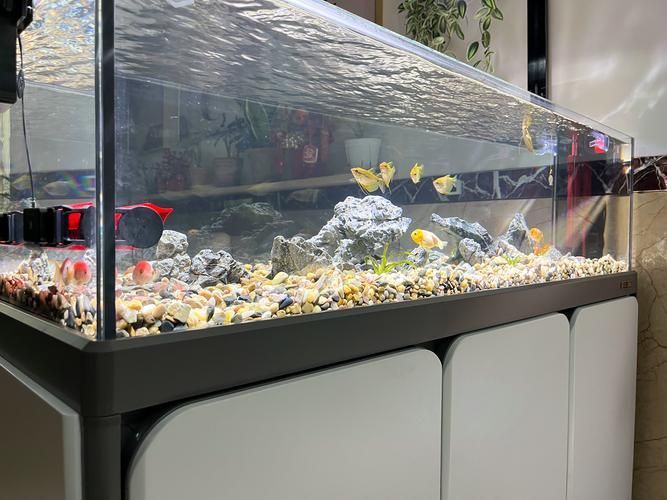 森森魚缸哪個系列最好，森森魚缸哪個系列最好森森超白玻璃系列推薦