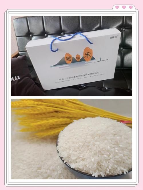 善穰禾和鄰家飯香哪個更高端？