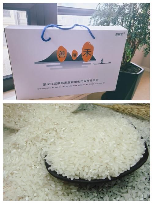 善穰禾和鄰家飯香哪個更高端？