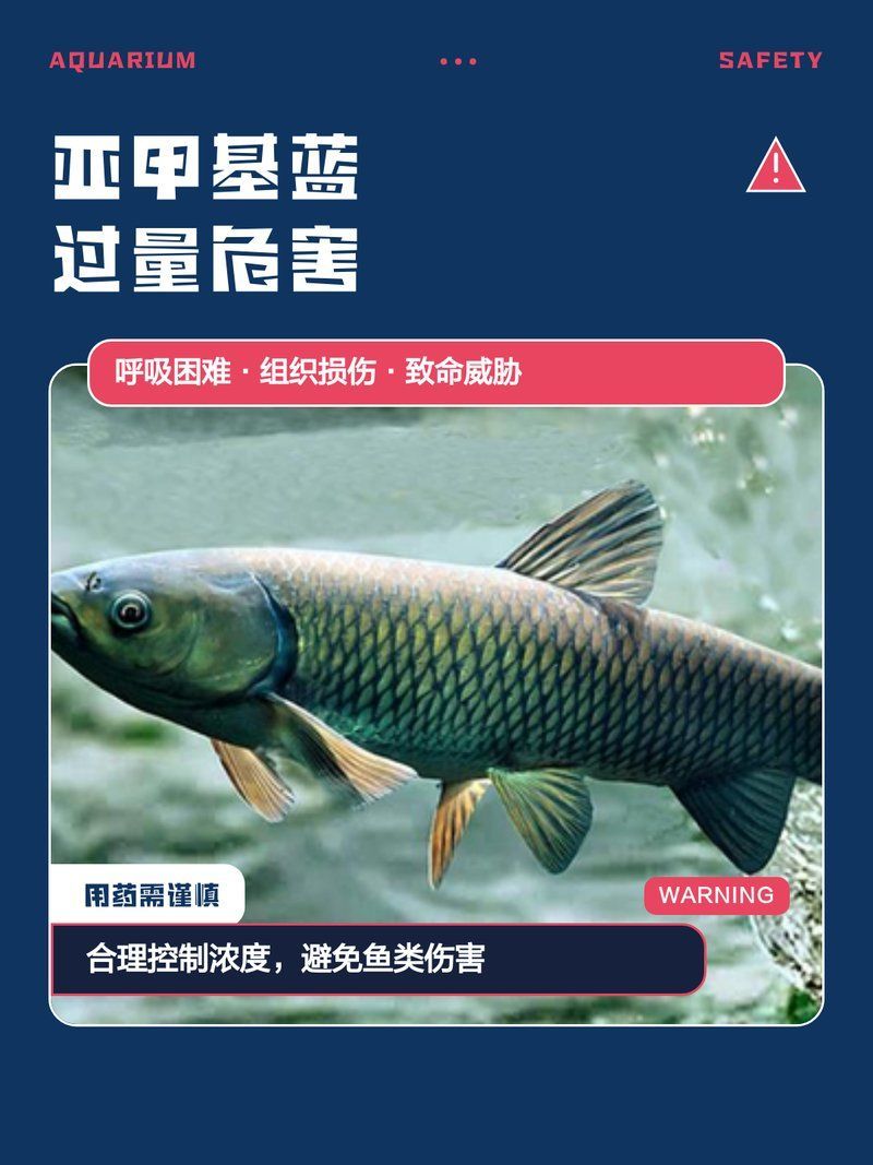 亞甲基藍對魚有哪些副作用，亞甲基藍對魚有哪些副作用,