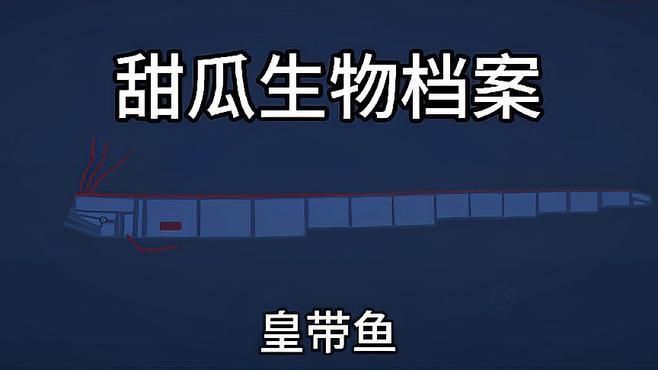 和龍長得像的魚叫什么，和龍長得像的魚叫什么，在探討歐洲魚類的多樣性