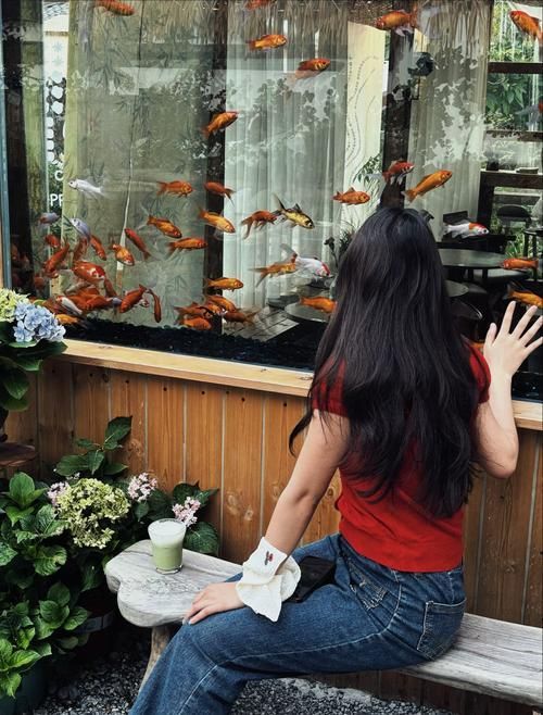 龍魚病死對主人有哪些心理影響？，龍魚病死對主人的心理影響（petlossgriefinornamentalfishowners）