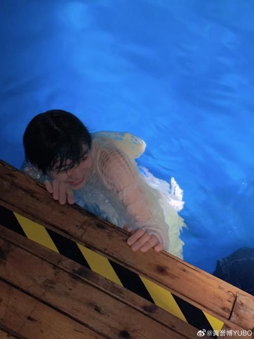 龍魚病死對主人有哪些心理影響？，龍魚病死對主人的心理影響（petlossgriefinornamentalfishowners）