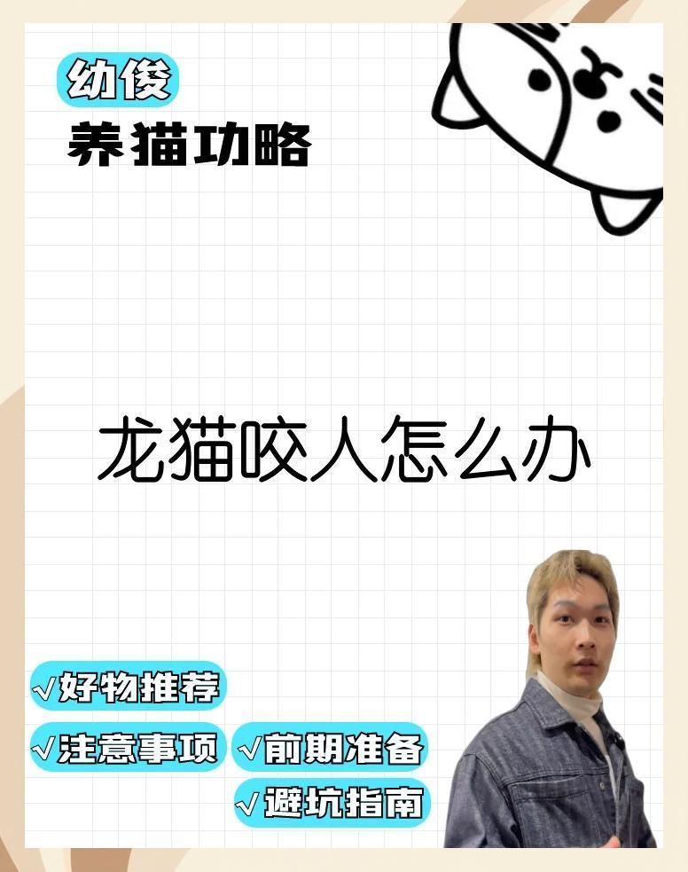 如何預(yù)防龍貓再次咬傷，如何預(yù)防龍貓咬人