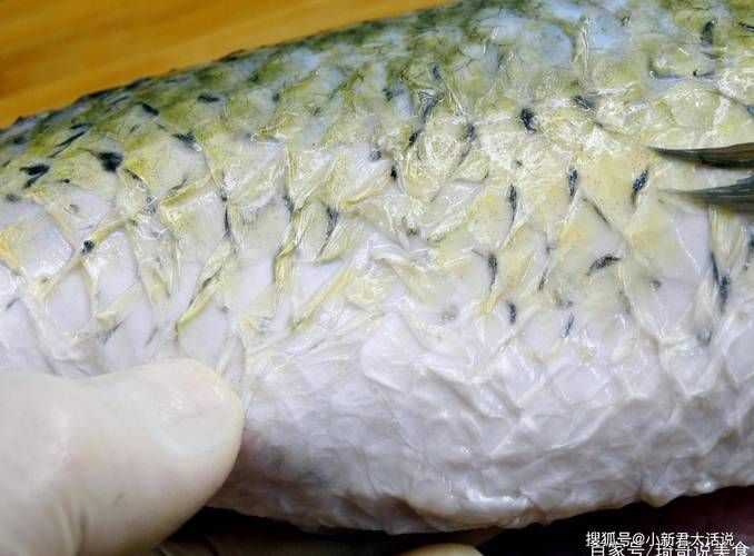 工具魚死亡后如何處理？，“工具魚死亡后如何處理“工具魚死亡后如何處理”并配圖