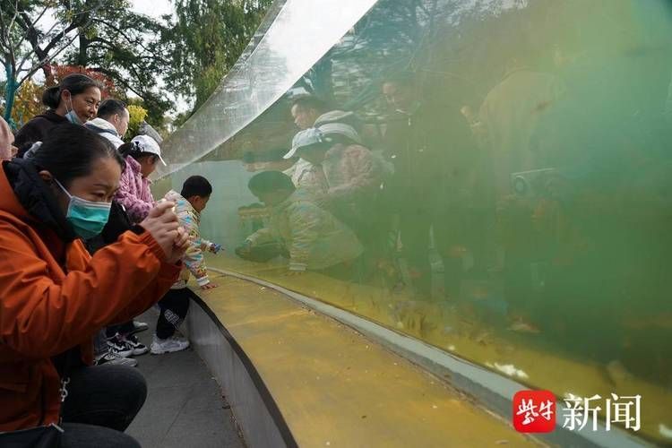 南京有哪些龍魚觀賞場所？，南京有哪些龍魚的觀賞場所？