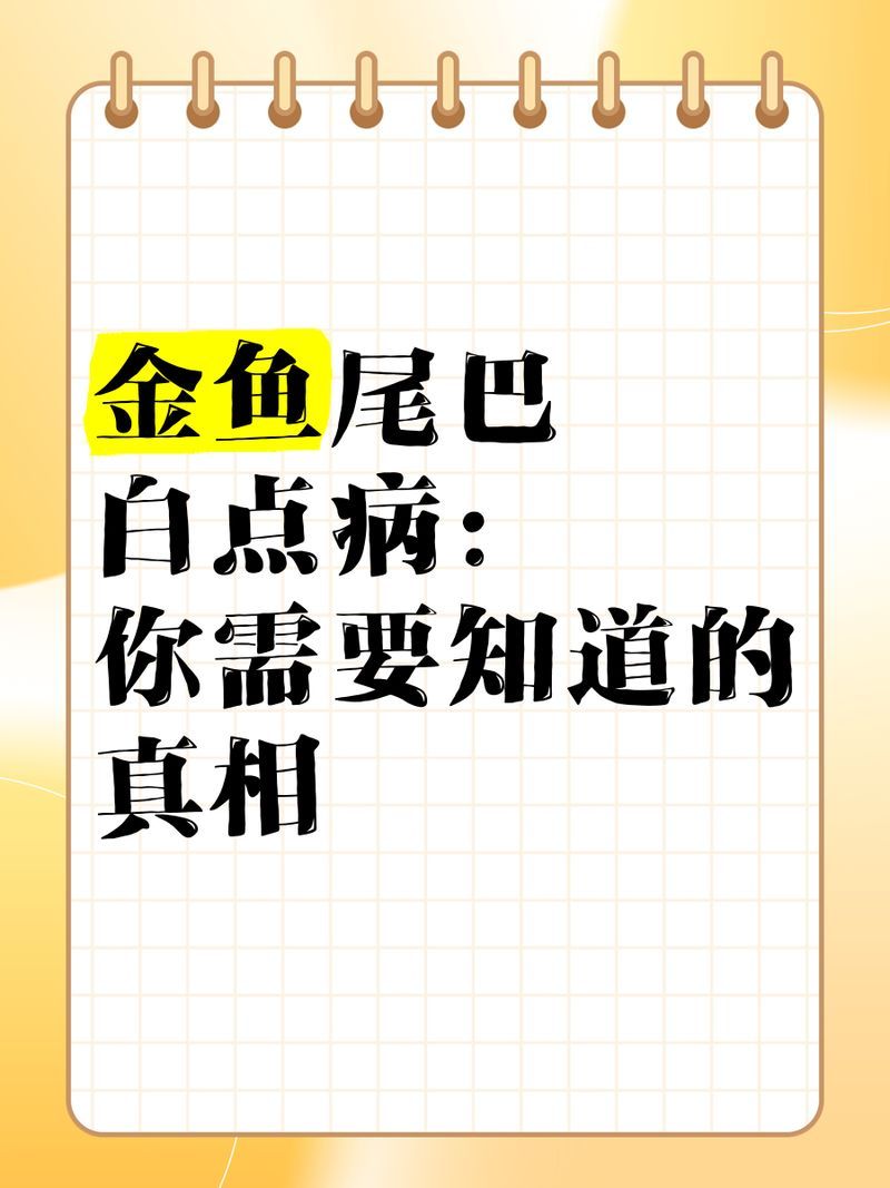 蝶尾金魚白點病如何快速治療，蝶尾金魚白點病如何快速治療蝶尾金魚白點病