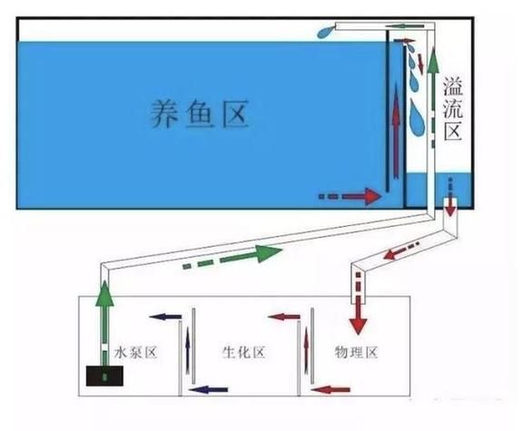 如何減少魚缸水中的細菌數量？，如何減少魚缸水中的細菌