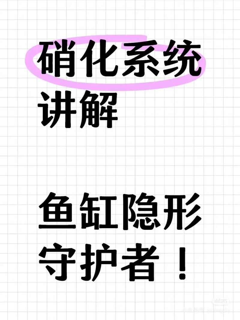 如何減少魚缸水中的細菌數量？，如何減少魚缸水中的細菌