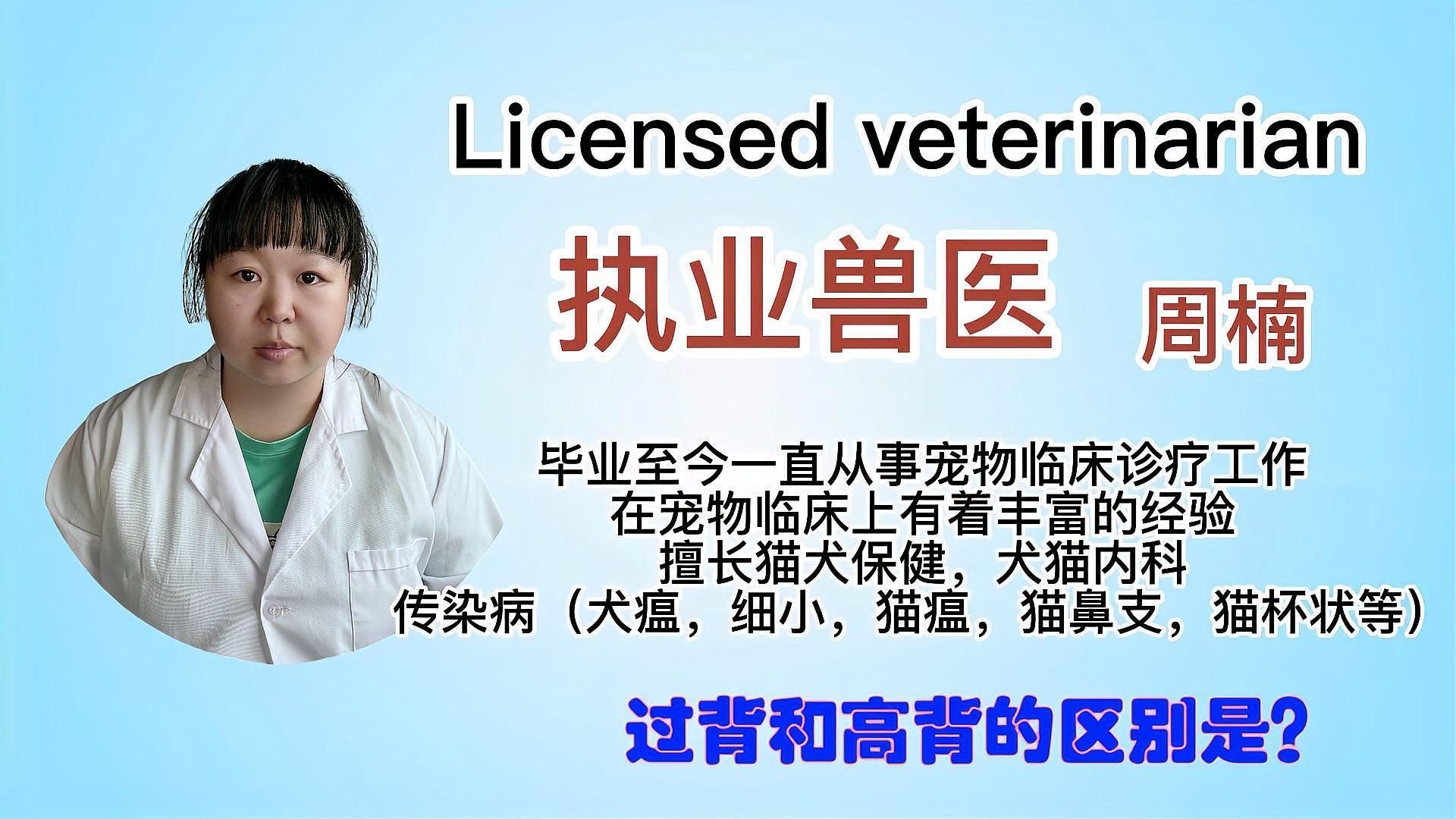 金龍魚高背和過背哪個更有收藏價值？