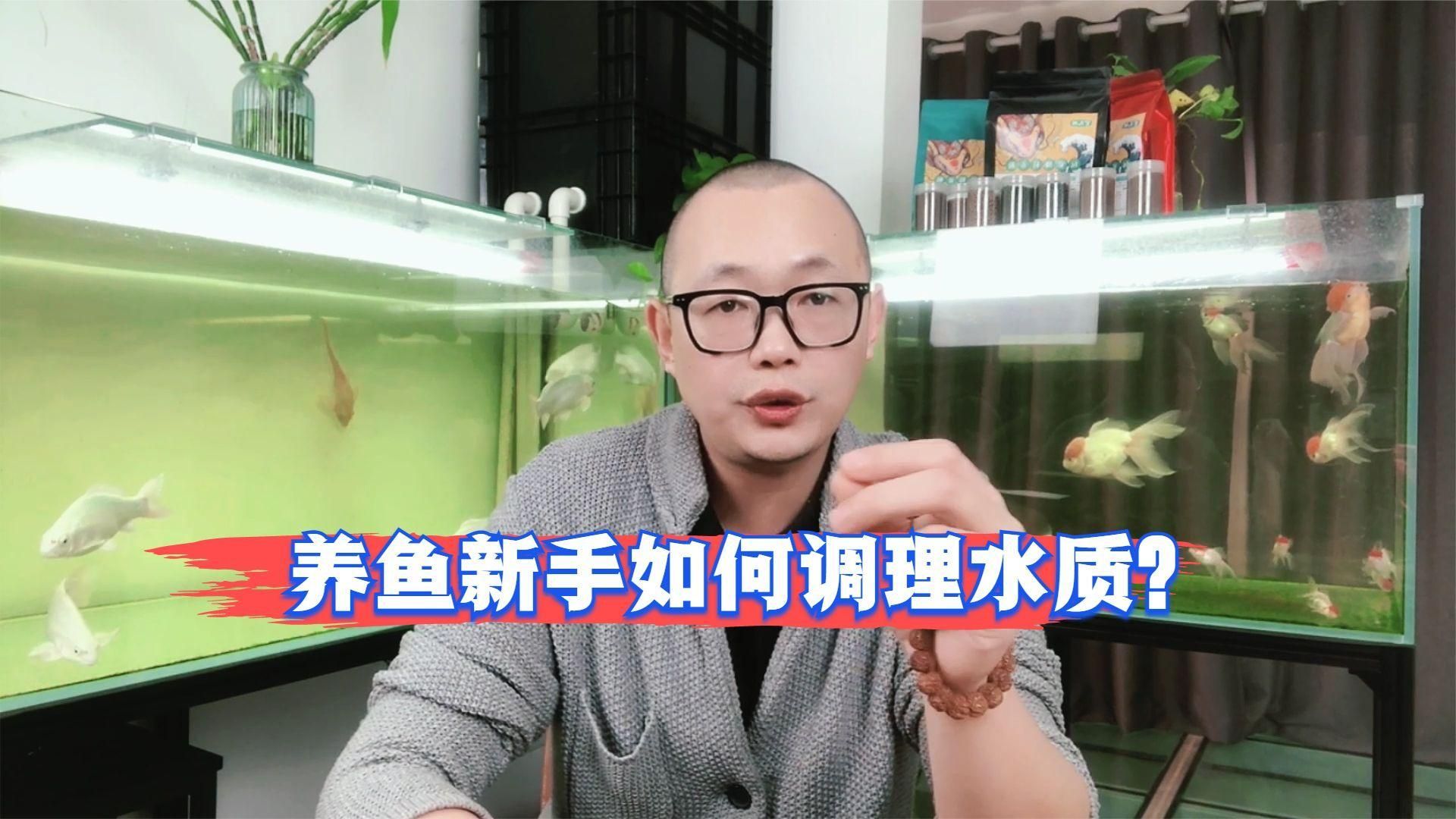 如何改善魚缸水質？，如何改善魚缸水質