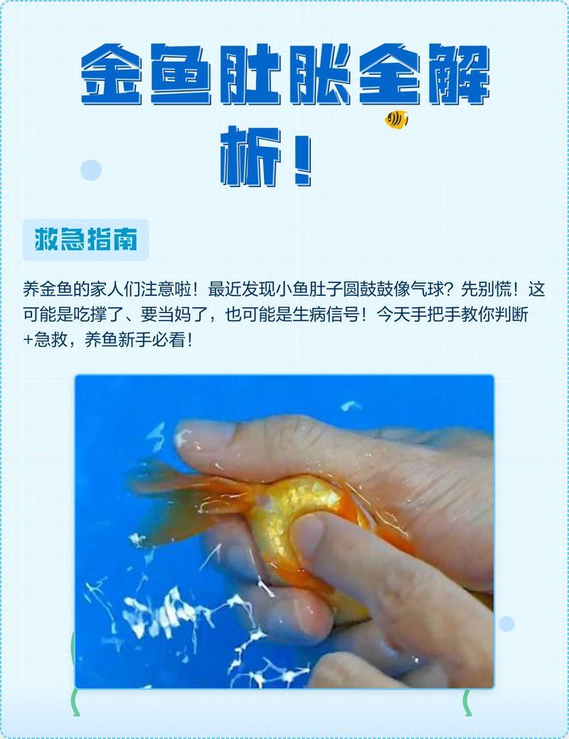 哪些魚種適合鹽浴治療魚腹水，關于鹽浴的一些建議