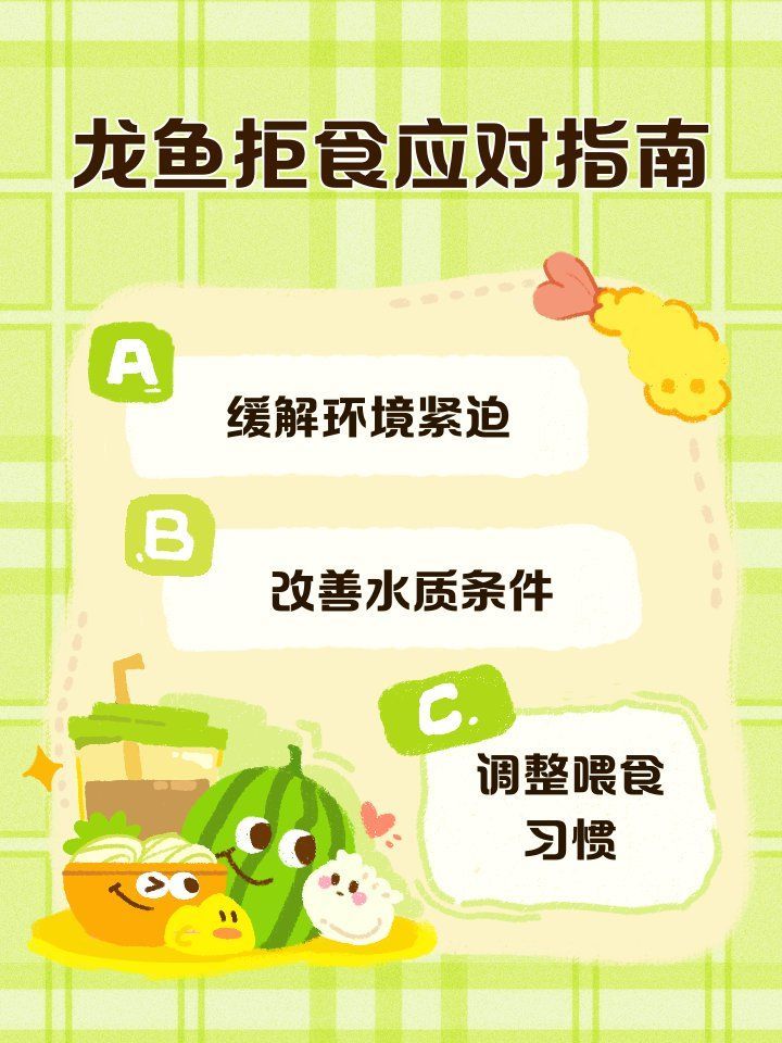 如何改善祥龍龍魚的食欲？，如何讓祥龍龍魚食欲大增五大秘訣揭秘