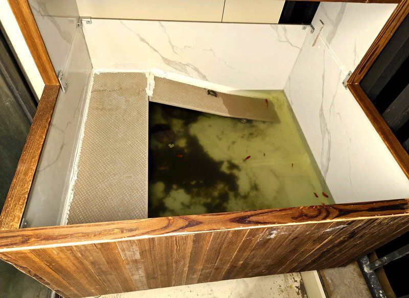 龜魚共養需要哪些設備，龜魚共養是一種將烏龜和魚類共同飼養的生態養殖方式