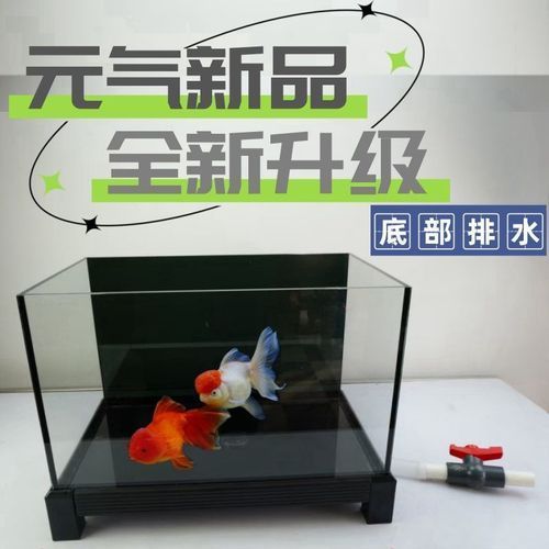 白底黑背景缸有哪些優缺點