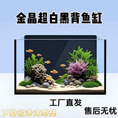 白底黑背景缸有哪些優缺點