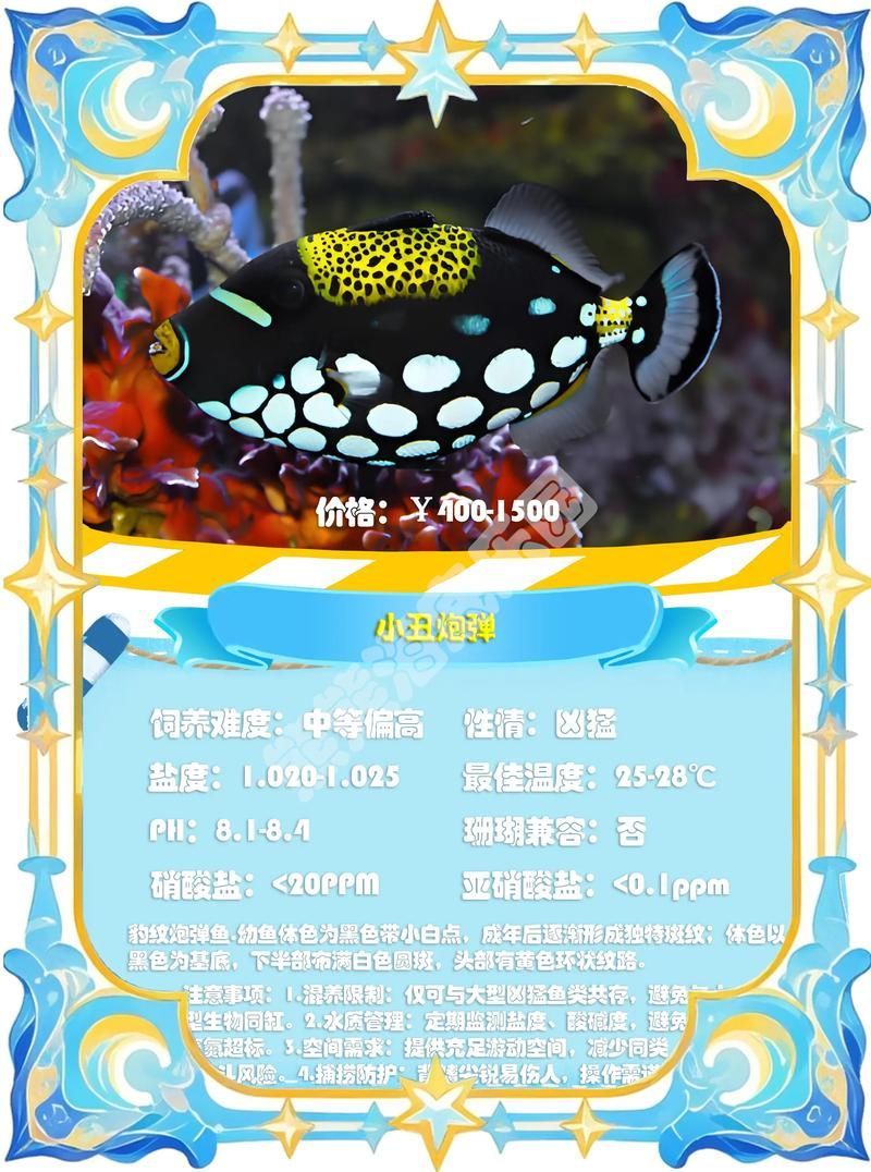有哪些權威機構可以鑒定寧明龍魚，寧明龍魚的權威機構