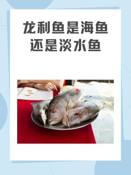 深海龍魚和龍利魚有何區別
