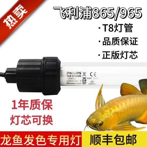 飛利浦龍魚燈有哪些型號？，飛利浦aqualuminaledaquariumlights飛利浦龍魚燈