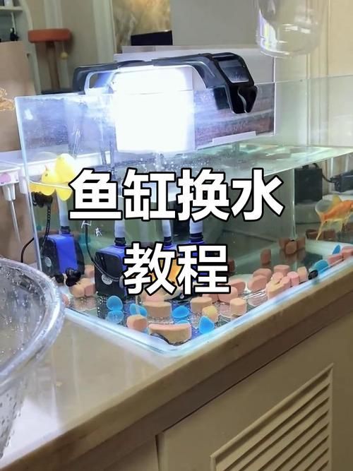 如何預(yù)防魚(yú)缸細(xì)菌感染，如何科學(xué)預(yù)防魚(yú)缸細(xì)菌感染