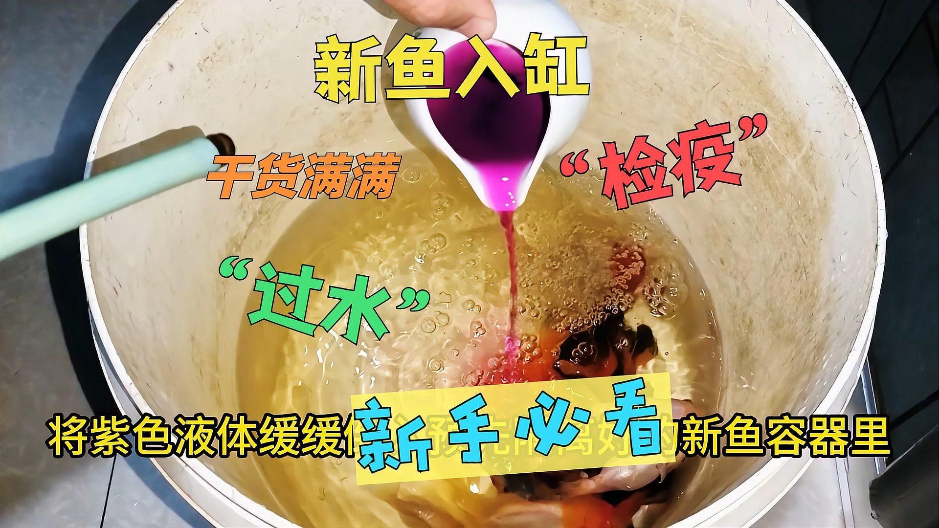 如何預(yù)防魚(yú)缸細(xì)菌感染，如何科學(xué)預(yù)防魚(yú)缸細(xì)菌感染