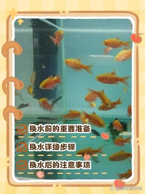 如何預(yù)防魚(yú)缸細(xì)菌感染，如何科學(xué)預(yù)防魚(yú)缸細(xì)菌感染
