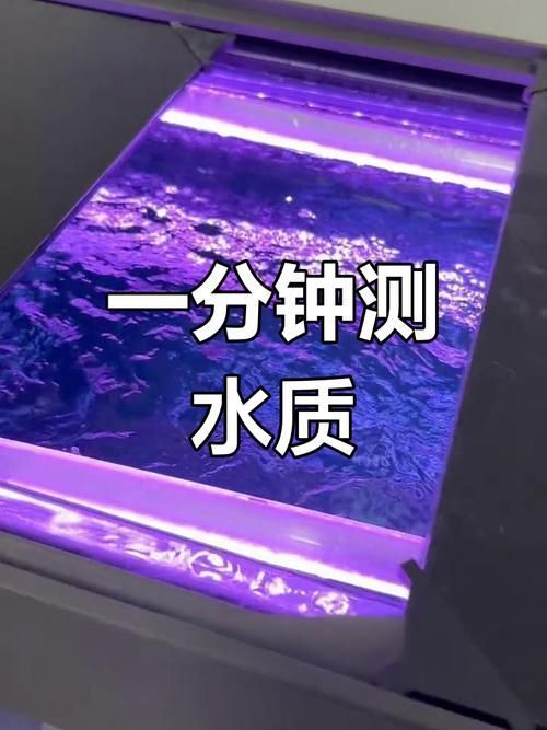如何預(yù)防魚(yú)缸細(xì)菌感染，如何科學(xué)預(yù)防魚(yú)缸細(xì)菌感染