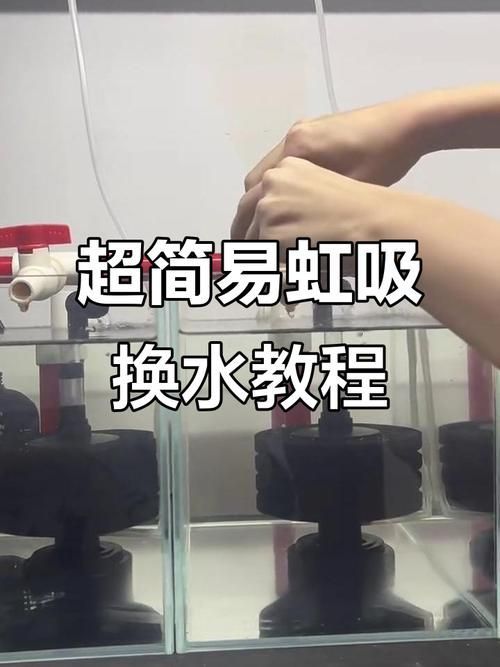 如何預(yù)防魚(yú)缸細(xì)菌感染，如何科學(xué)預(yù)防魚(yú)缸細(xì)菌感染