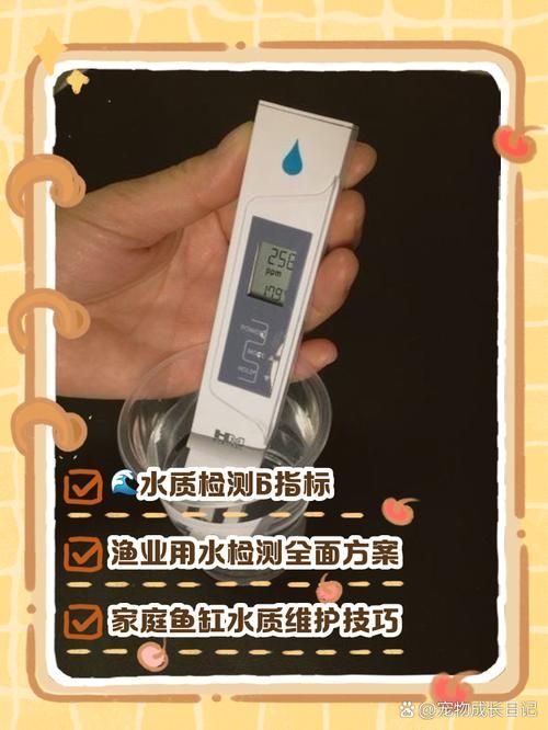 如何預(yù)防魚(yú)缸細(xì)菌感染，如何科學(xué)預(yù)防魚(yú)缸細(xì)菌感染