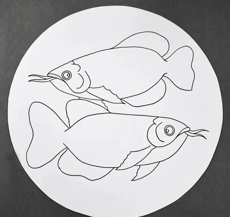 有沒有龍魚繪畫的視頻教程？，如何找到高質量的龍魚繪畫視頻教程？