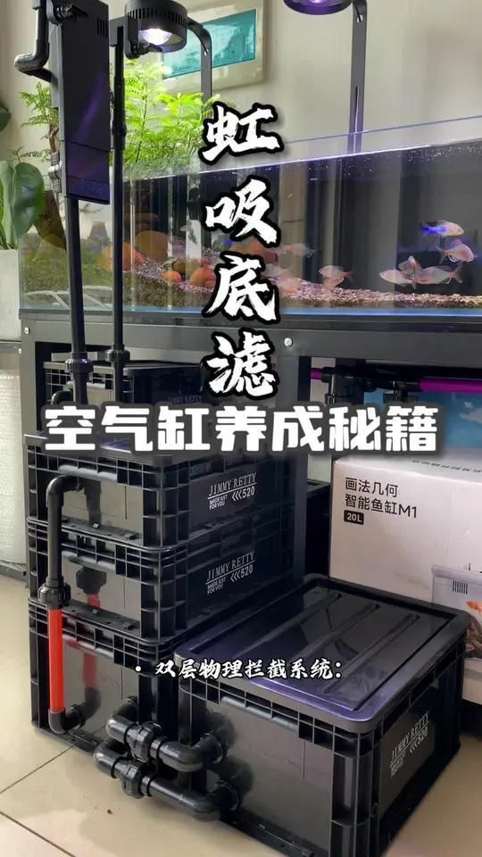 如何選擇適合龍魚的過濾系統(tǒng)，如何選擇一套適合龍魚的過濾系統(tǒng)