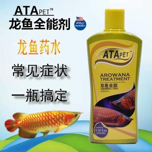 給我一些預防龍魚鰓蓋腐爛的圖片，如何預防龍魚鰓蓋腐爛