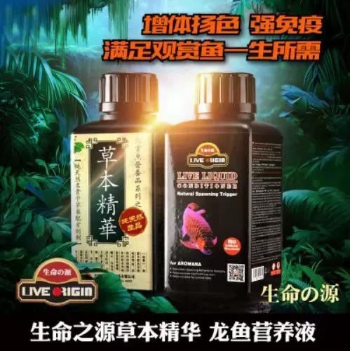 給我一些預(yù)防龍魚鰓蓋腐爛的圖片，如何預(yù)防龍魚鰓蓋腐爛